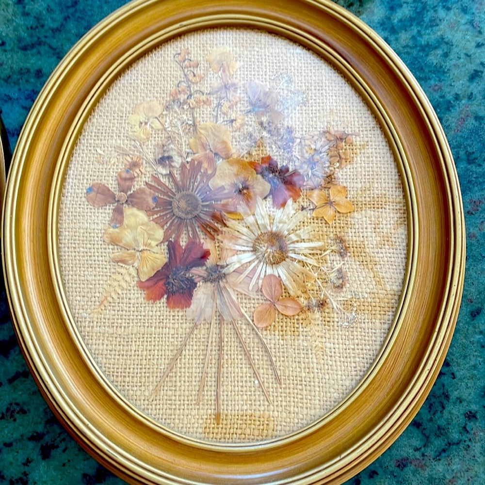 Vintage pressed real flowers in the frame